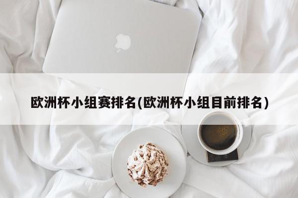 欧洲杯小组赛排名(欧洲杯小组目前排名)