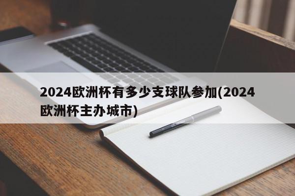 2024欧洲杯有多少支球队参加(2024欧洲杯主办城市)